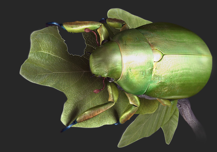 3d illustration of a scarab beetle chewing on a leaf